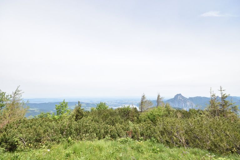 Ausblick - Gemütliches Chalet im Ski- und Wanderparadies FEUERKOGEL mit traumhaften Ausblick Kauf Ebensee Oberösterreich