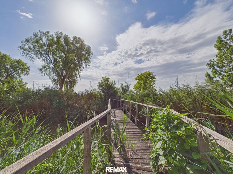 " Brücke" - Hafen