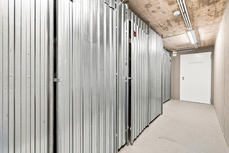29