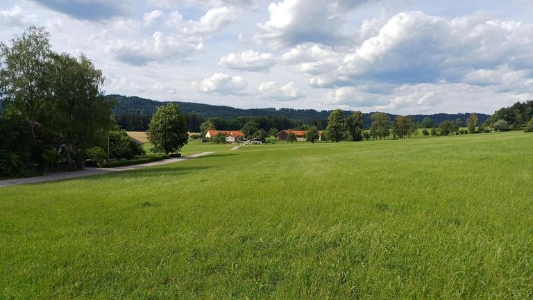 Aussicht (1)
