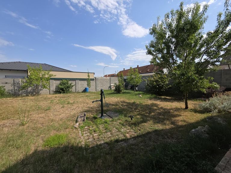Garten (3)