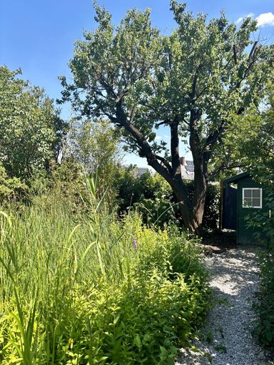 Gartenhütte neben Marillenbaum