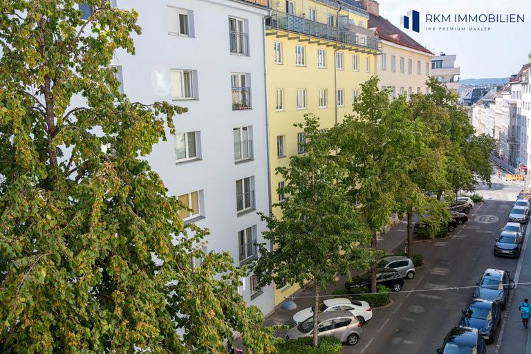 Blick auf eine grüne Straße