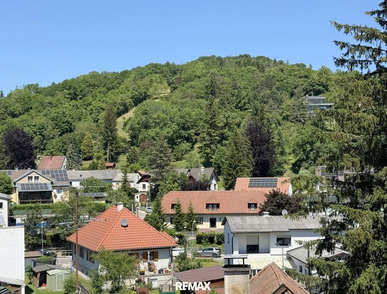 Ausblick