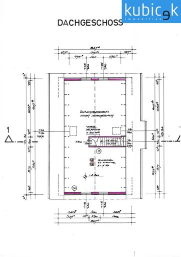 Plan DG