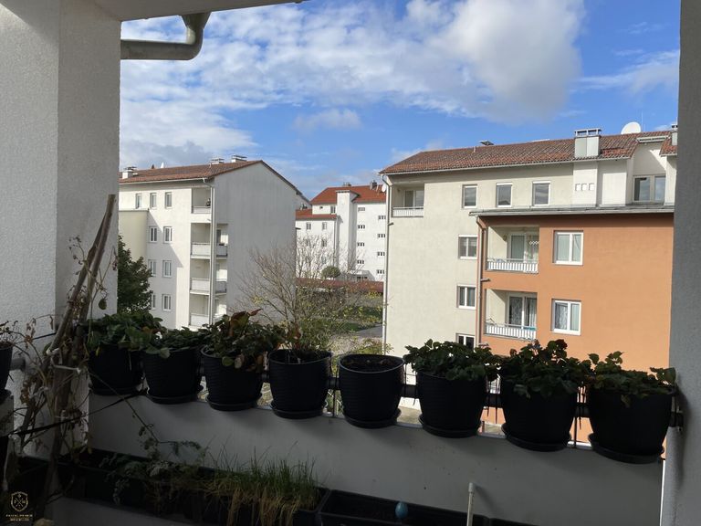 Ausblick