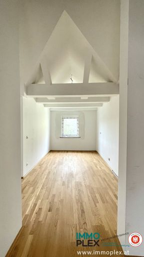 Zimmer DG