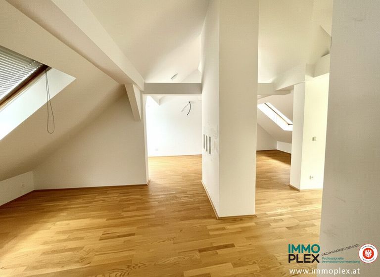 Zimmer DG
