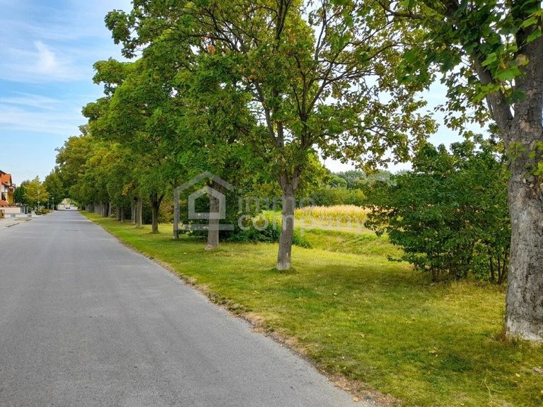 Blick in die Strasse vorm Haus