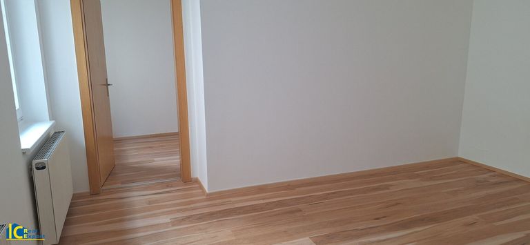 Ideal geschnitten