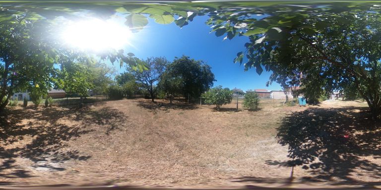 Garten 2