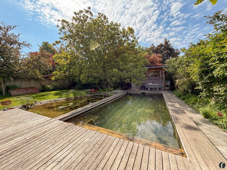 Naturpool und Teich