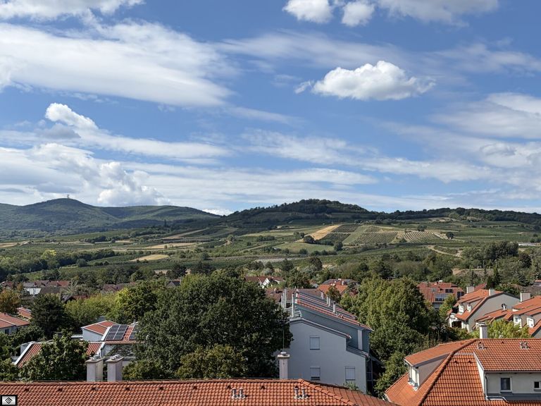 Terrasse 2 - Anningerblick