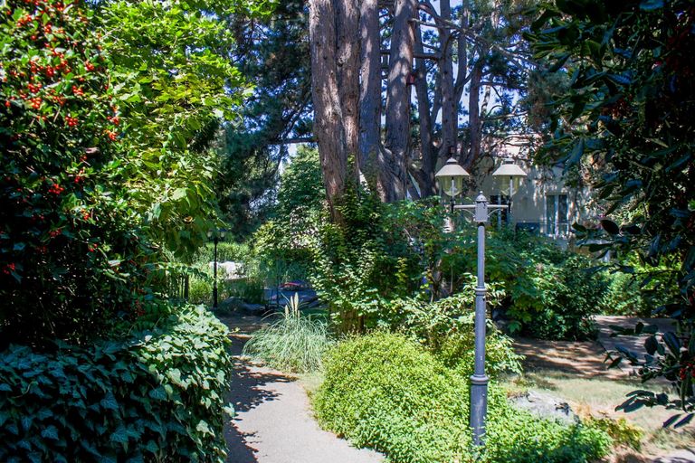 Gemeinschaftsgarten