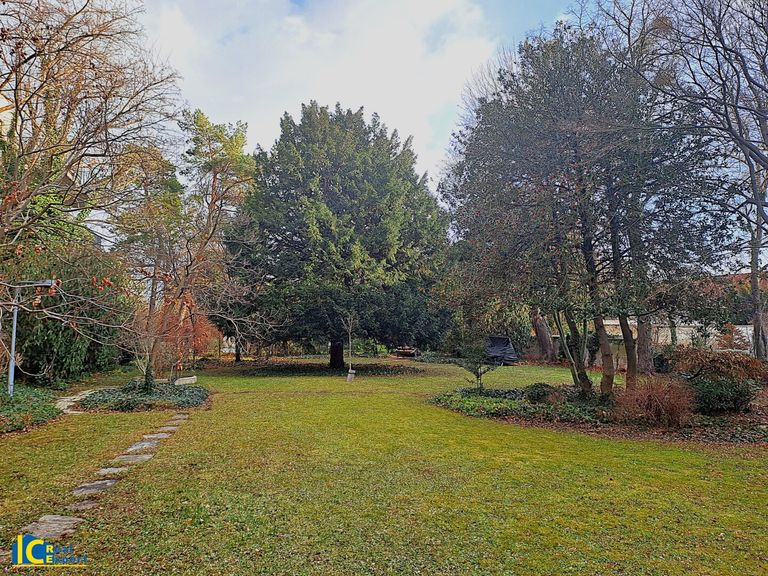 großer, gepflegter Gemeinschaftsgarten
