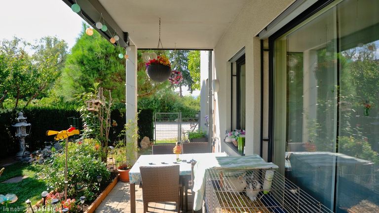 SÜSSE MARILLEN IM GARTEN