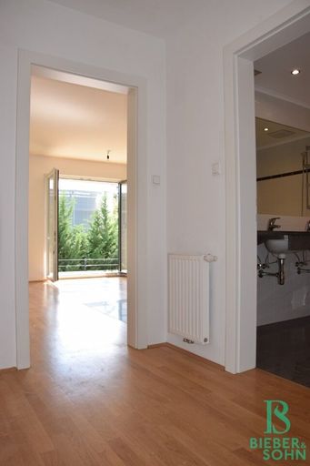 Vorraum/Blick Wohnraum