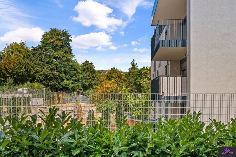 Blick vom hinteren Garten auf die Weinberge