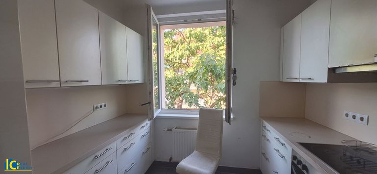 Blick ins Grüne