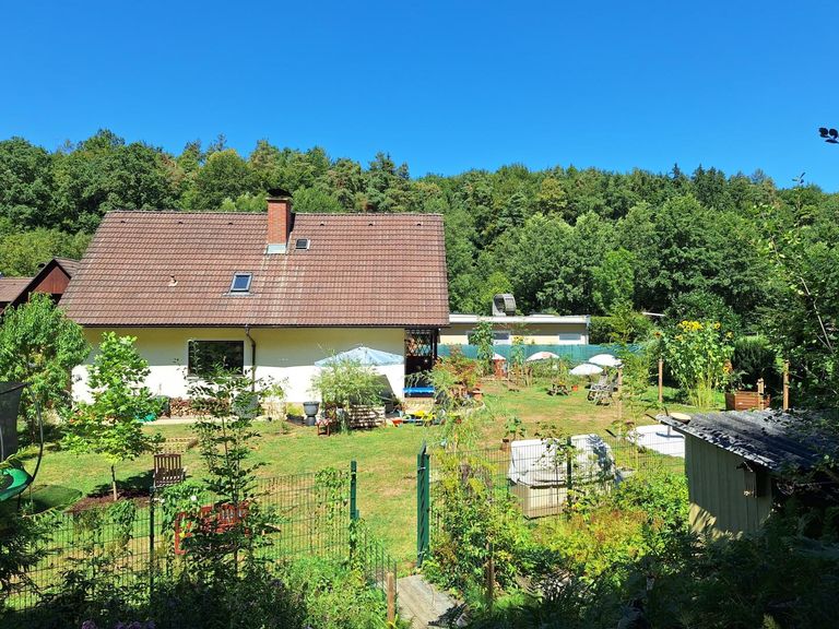 Blick aus dem Eigenwald