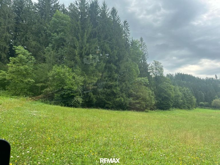 Wiesenfläche