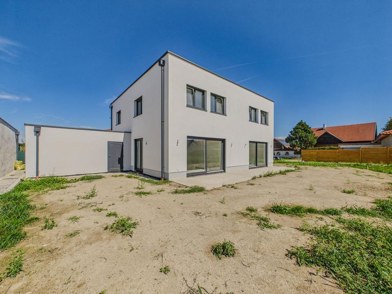 Gartenfoto 5