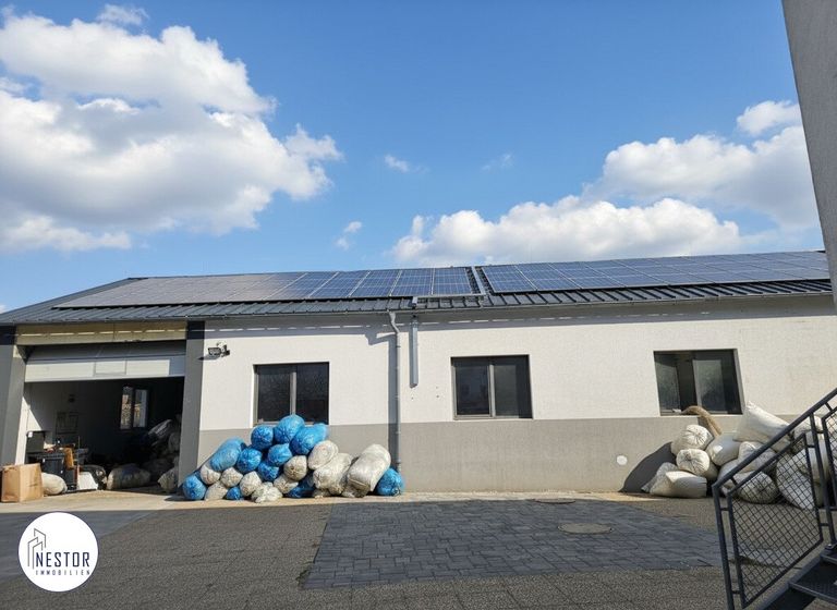 NESTOR Immobilien