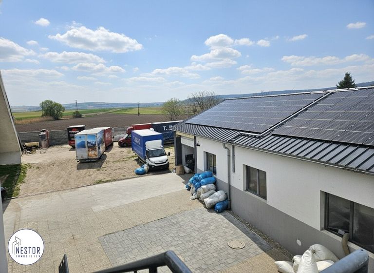 NESTOR Immobilien