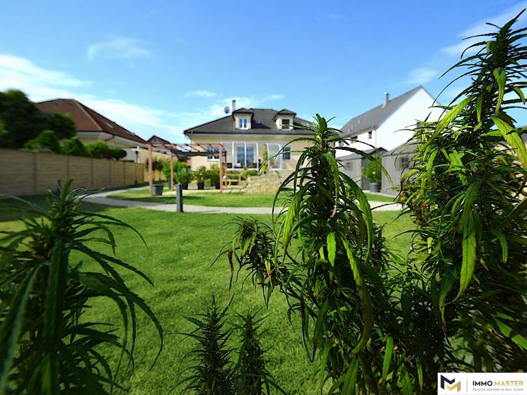 Garten 3