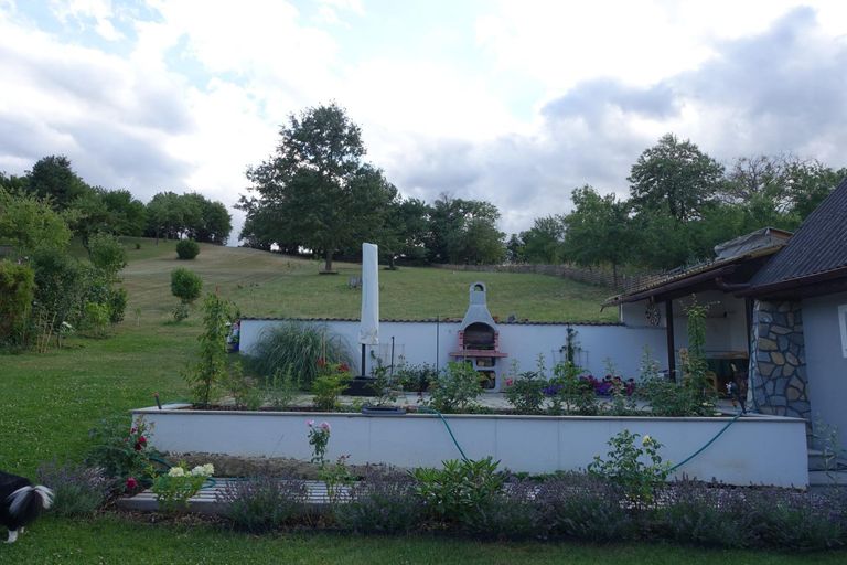 Neuangelegter Garten
