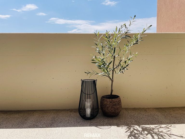 Loggia
