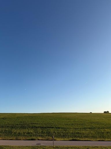 Grundstück