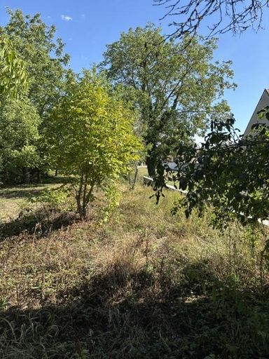 Obstgarten