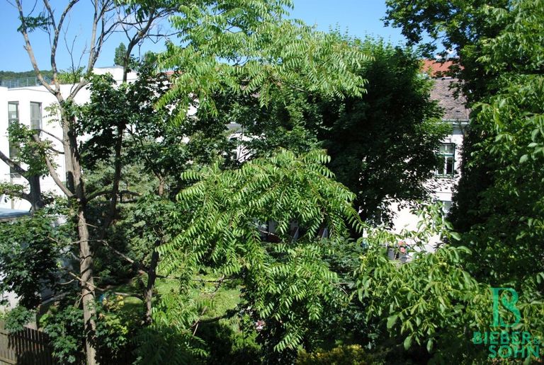 Ausblick