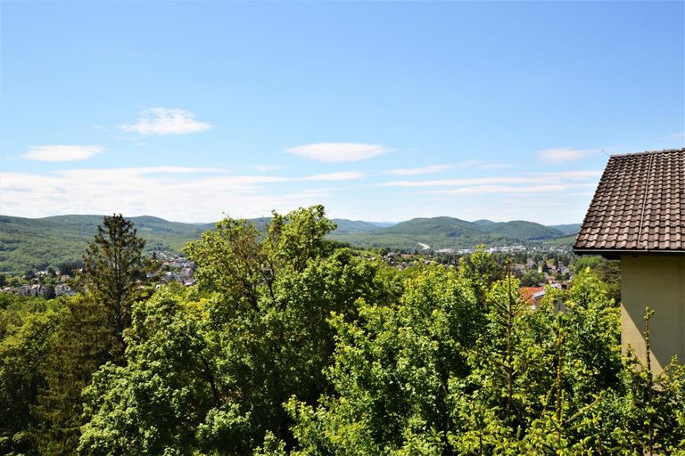 Ausblick