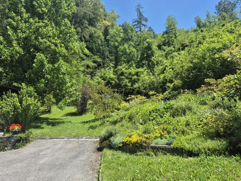 Garten2