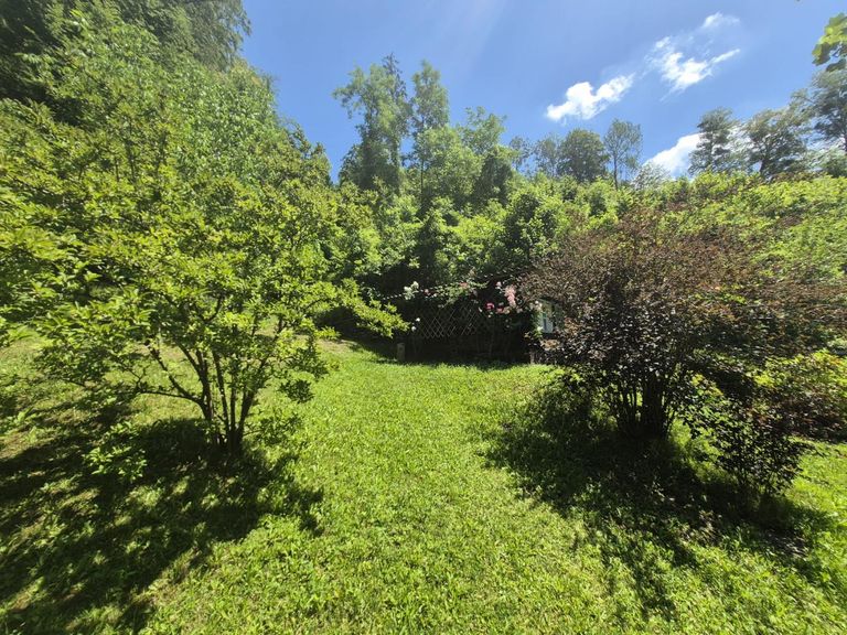 Garten3