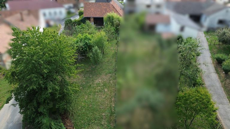 Drohnenbild Garten