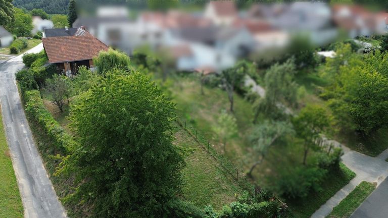 Drohnenbild Garten