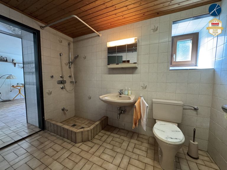 Badezimmer Altbestand