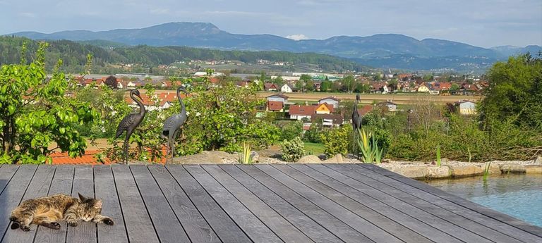 Aussicht