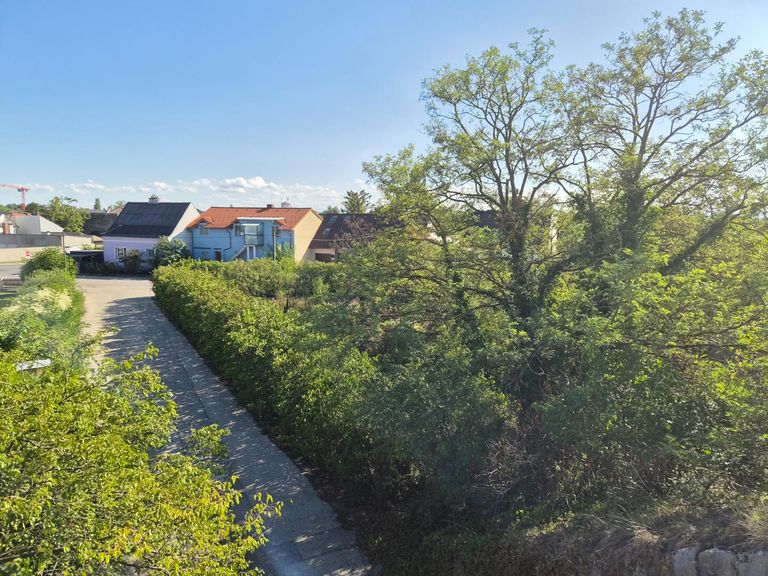 04.Blick aufs Grundstück