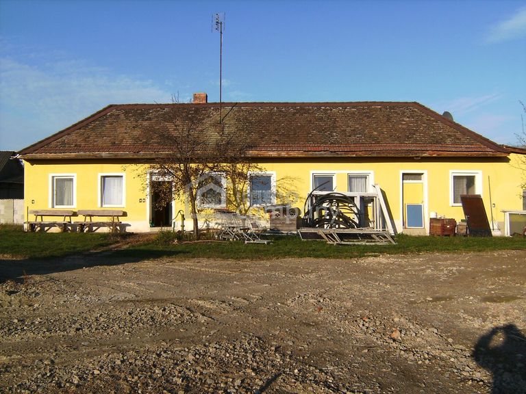 BILD1101_Kopie