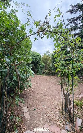 17. Garten