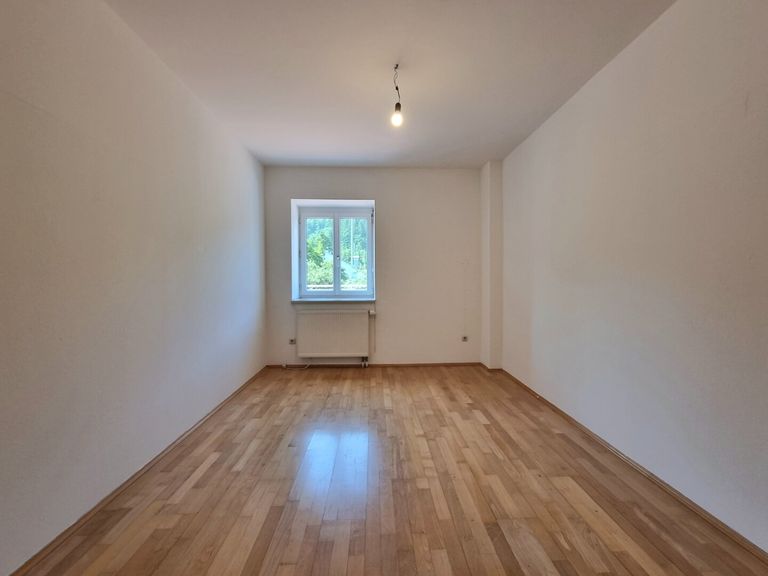 Zimmer