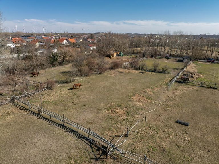 Grundstück - hinterer Bereich