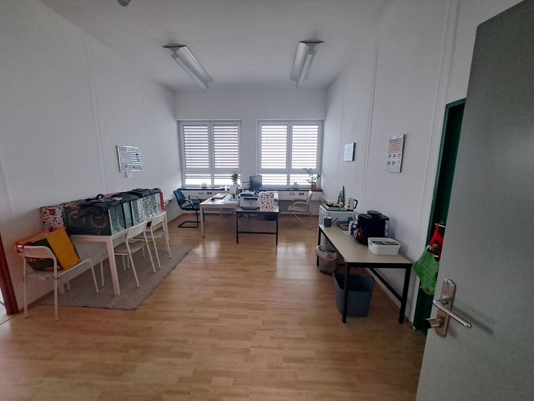 Musterbüro
