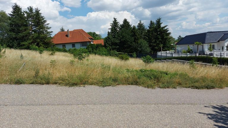 Straßenansicht  des Grundstücks