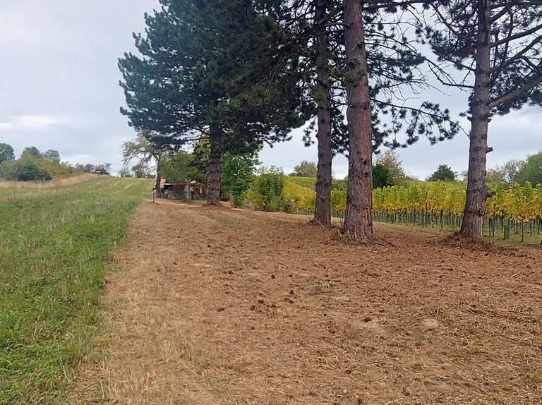 Blick zur "Almhütte"