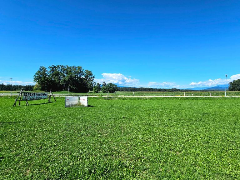 Grundstück - Mitte Grundstück-Blick nach Norden